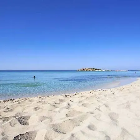 Nissi Golden Sands Free Wifi شقة أيا نابا
